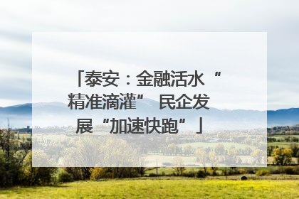 泰安：金融活水“精准滴灌” 民企发展“加速快跑”