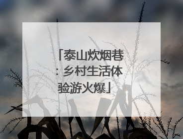 泰山炊烟巷：乡村生活体验游火爆