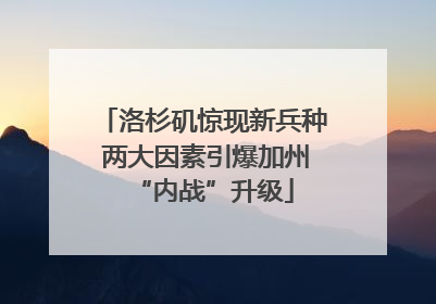 洛杉矶惊现新兵种 两大因素引爆加州“内战”升级