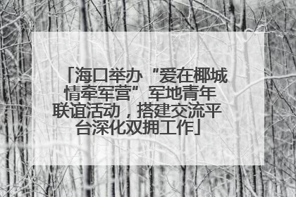 海口举办“爱在椰城 情牵军营”军地青年联谊活动，搭建交流平台深化双拥工作