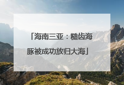 海南三亚：糙齿海豚被成功放归大海