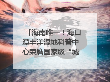 海南唯一！海口潭丰洋湿地科普中心荣膺国家级“城市儿童友好空间建设园区”称号