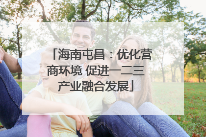 海南屯昌：优化营商环境 促进一二三产业融合发展