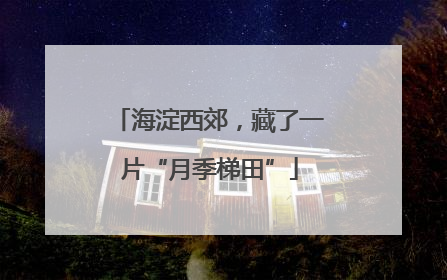 海淀西郊，藏了一片“月季梯田”