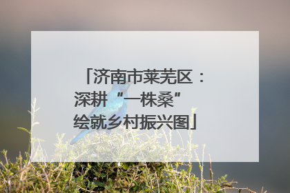 济南市莱芜区：深耕“一株桑” 绘就乡村振兴图