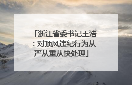 浙江省委书记王浩：对顶风违纪行为从严从重从快处理