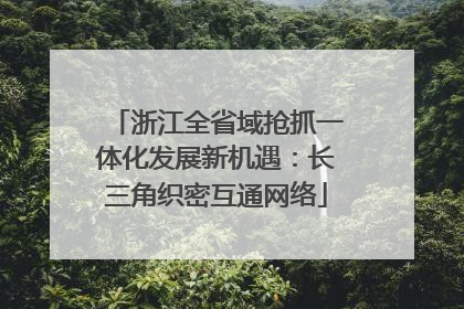 浙江全省域抢抓一体化发展新机遇：长三角织密互通网络
