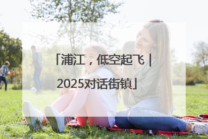 浦江，低空起飞｜2025对话街镇