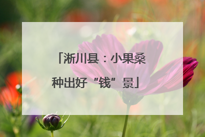 淅川县：小果桑种出好“钱”景