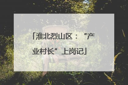 淮北烈山区：“产业村长”上岗记