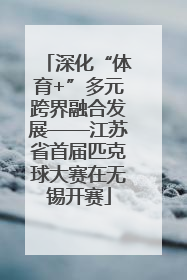 深化“体育+”多元跨界融合发展——江苏省首届匹克球大赛在无锡开赛