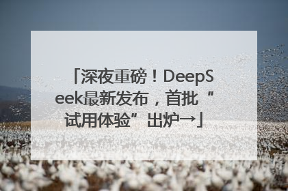 深夜重磅！DeepSeek最新发布，首批“试用体验”出炉→