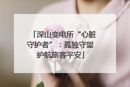 深山变电所“心脏守护者”：孤独守望护航旅客平安