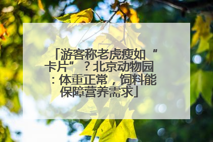 游客称老虎瘦如“卡片”？北京动物园：体重正常，饲料能保障营养需求