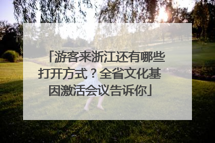 游客来浙江还有哪些打开方式？全省文化基因激活会议告诉你