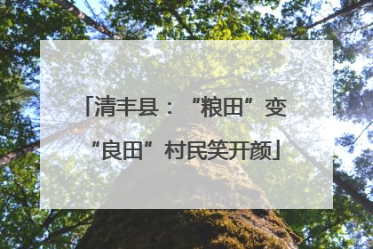 清丰县：“粮田”变“良田”村民笑开颜