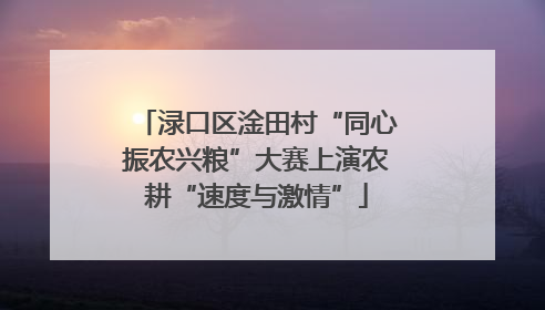渌口区淦田村“同心振农兴粮”大赛上演农耕“速度与激情”