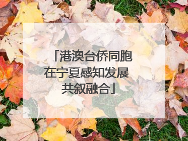 港澳台侨同胞在宁夏感知发展 共叙融合
