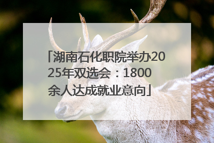湖南石化职院举办2025年双选会：1800余人达成就业意向