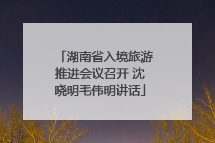 湖南省入境旅游推进会议召开 沈晓明毛伟明讲话