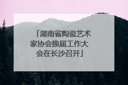 湖南省陶瓷艺术家协会换届工作大会在长沙召开