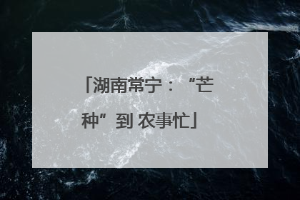 湖南常宁：“芒种”到 农事忙
