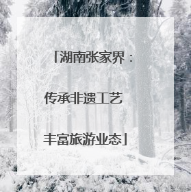 湖南张家界：传承非遗工艺 丰富旅游业态