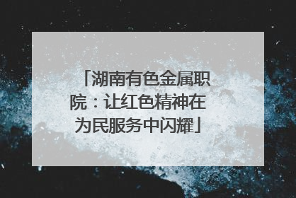 湖南有色金属职院：让红色精神在为民服务中闪耀