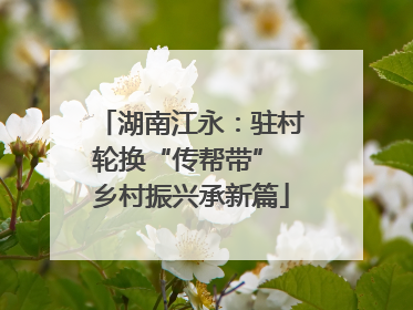 湖南江永：驻村轮换“传帮带” 乡村振兴承新篇