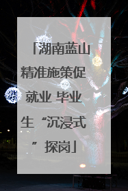 湖南蓝山精准施策促就业 毕业生“沉浸式”探岗