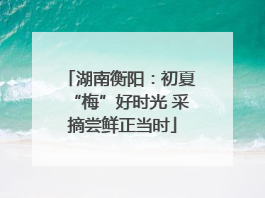 湖南衡阳：初夏“梅”好时光 采摘尝鲜正当时