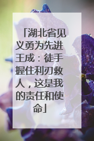 湖北省见义勇为先进王成：徒手握住利刃救人，这是我的责任和使命