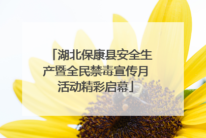 湖北保康县安全生产暨全民禁毒宣传月活动精彩启幕