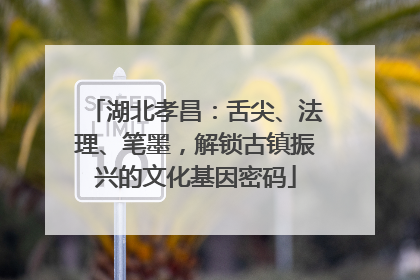 湖北孝昌：舌尖、法理、笔墨，解锁古镇振兴的文化基因密码