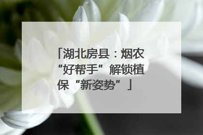 湖北房县：烟农“好帮手”解锁植保“新姿势”