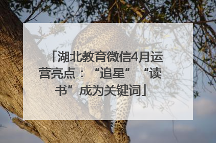 湖北教育微信4月运营亮点：“追星”“读书”成为关键词