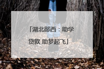 湖北郧西：助学贷款 助梦起飞