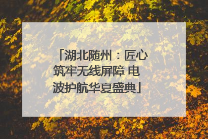 湖北随州：匠心筑牢无线屏障 电波护航华夏盛典