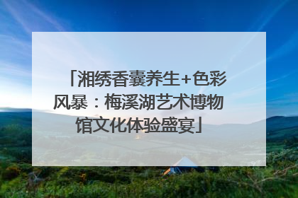 湘绣香囊养生+色彩风暴：梅溪湖艺术博物馆文化体验盛宴