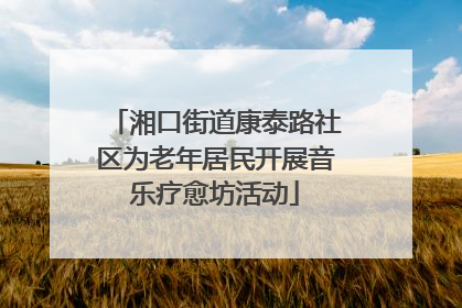 湘口街道康泰路社区为老年居民开展音乐疗愈坊活动