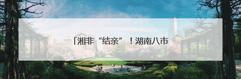 湘非“结亲”！湖南八市与非洲九城缔结友好城市