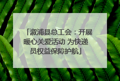 溆浦县总工会：开展暖心关爱活动 为快递员权益保障护航