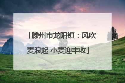 滕州市龙阳镇：风吹麦浪起 小麦迎丰收