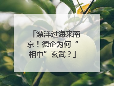 漂洋过海来南京！德企为何“相中”玄武？