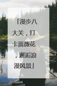 漫步八大关，打卡蔷薇花，邂逅浪漫风景
