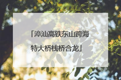 漳汕高铁东山跨海特大桥栈桥合龙