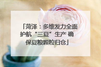 菏泽：多维发力全面护航“三夏”生产 确保夏粮颗粒归仓