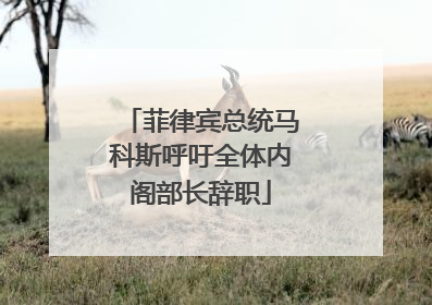 菲律宾总统马科斯呼吁全体内阁部长辞职