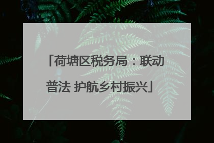 荷塘区税务局：联动普法 护航乡村振兴