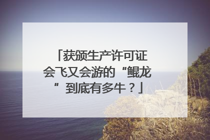 获颁生产许可证 会飞又会游的“鲲龙”到底有多牛？